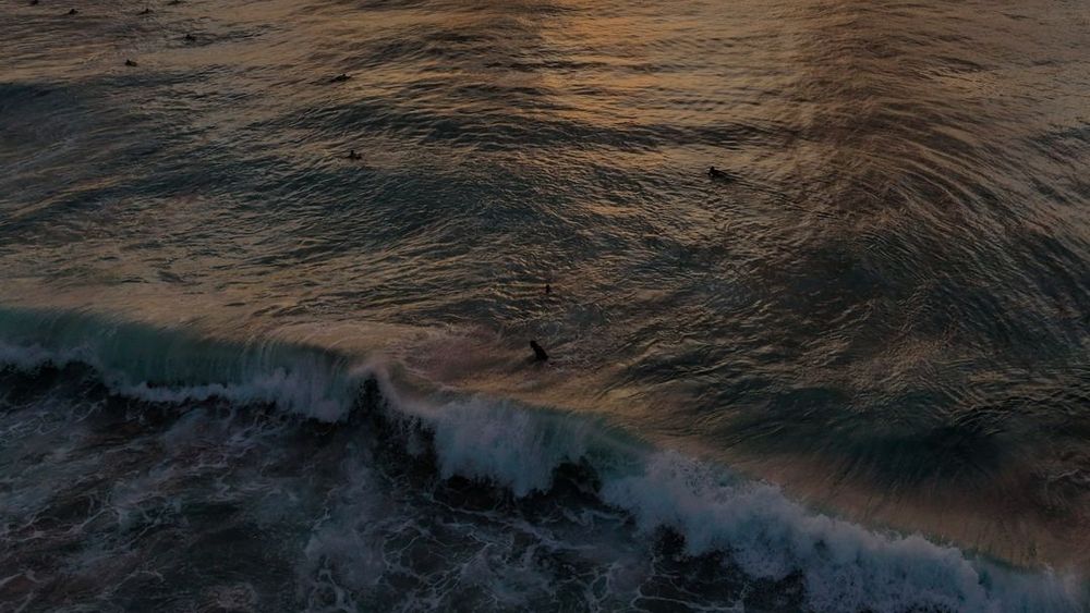 Surfers in the water off Bali at sunset