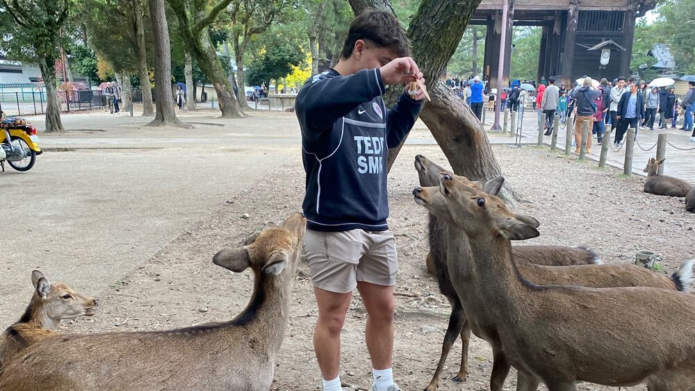 Feeding the free-roaming deer outside Todai-ji temple in Nara, Japan